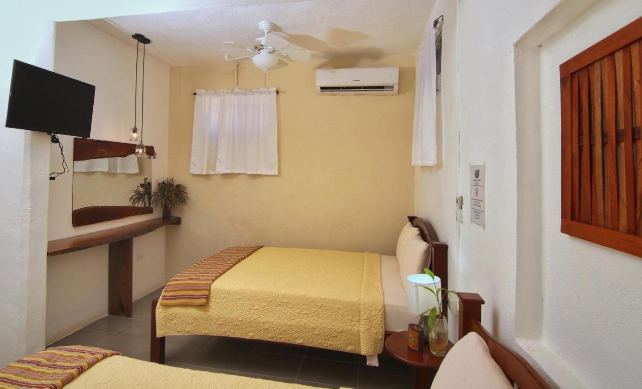 Rainforest Haven Inn 산 이그나시오 외부 사진