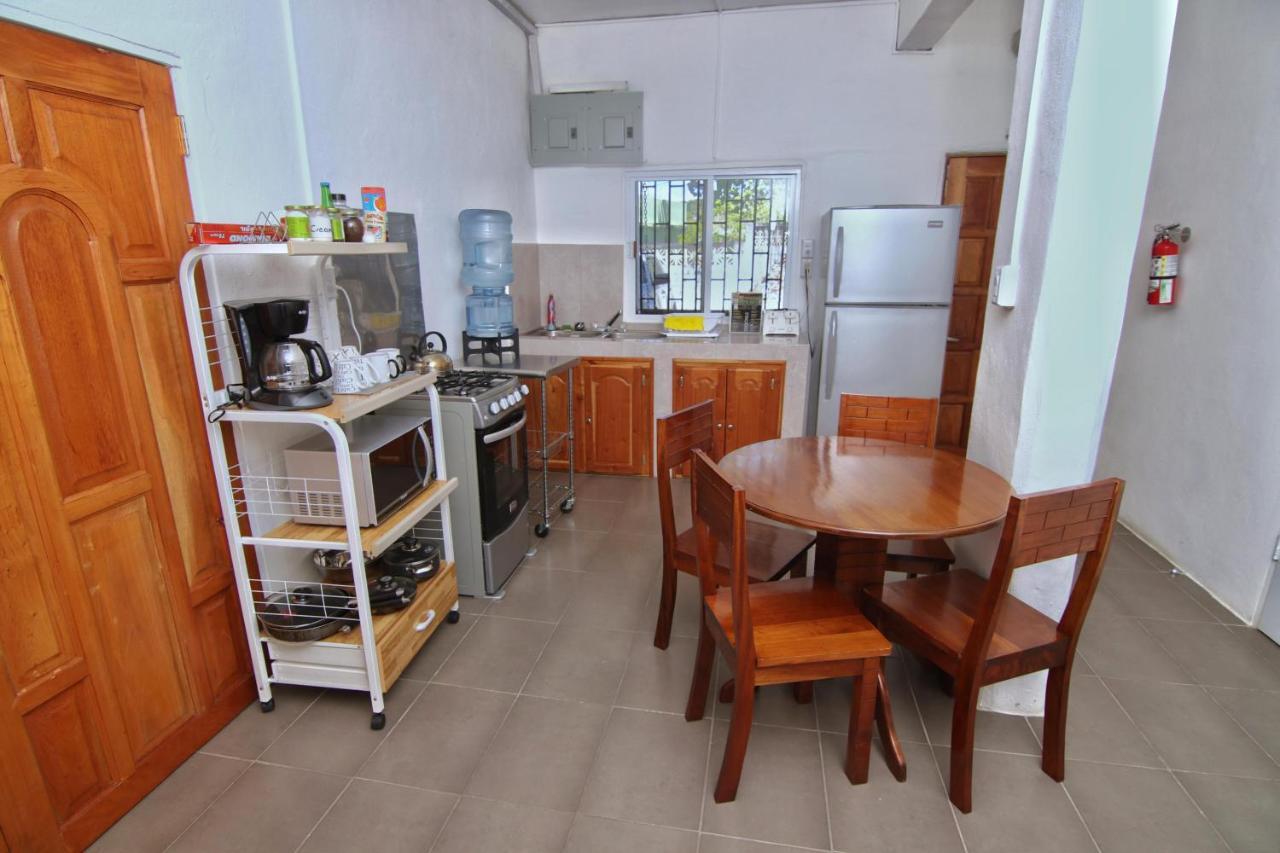 Rainforest Haven Inn 산 이그나시오 외부 사진